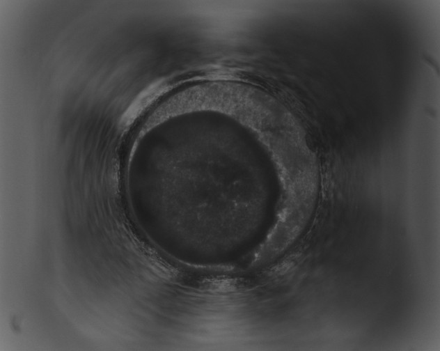 X0000103230295200809251311