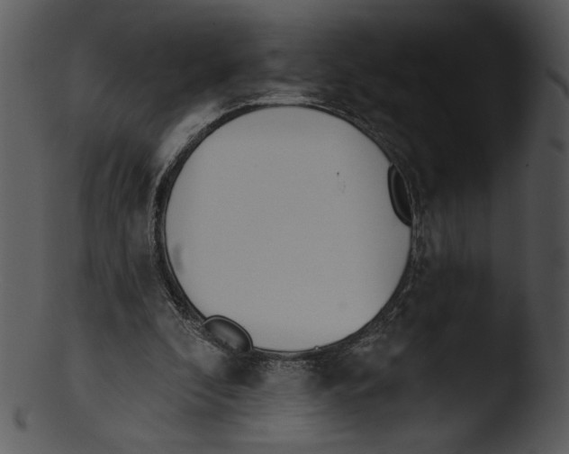 X0000103230296200809251310