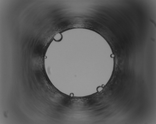 X0000103230297200809251310
