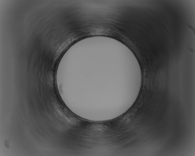 X0000103230298200809251310