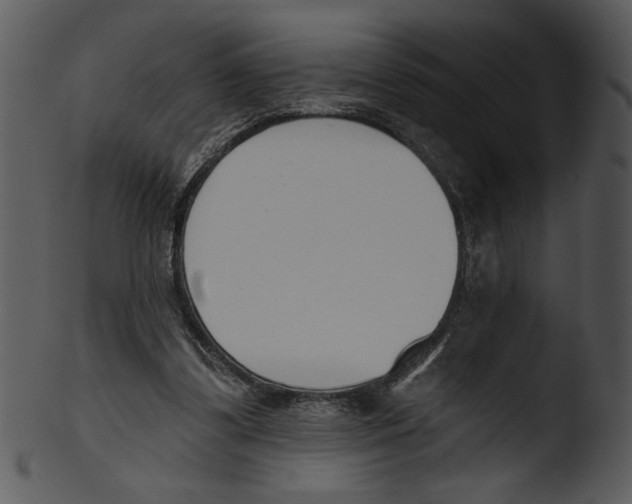 X0000103230299200809251310