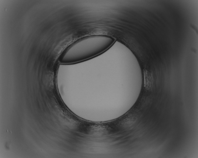 X0000103230300200809251310