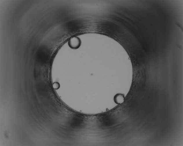 X0000103230301200809251310