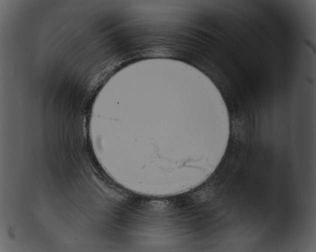 X0000103230302200809251310