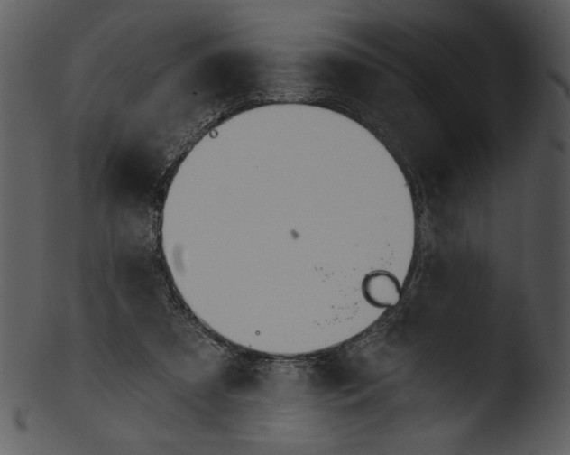 X0000103230305200809251310