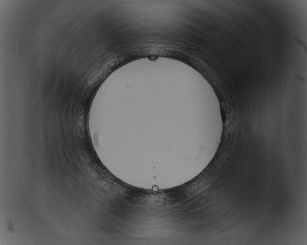 X0000103230306200809251310