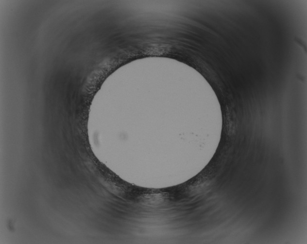 X0000103230307200809251310