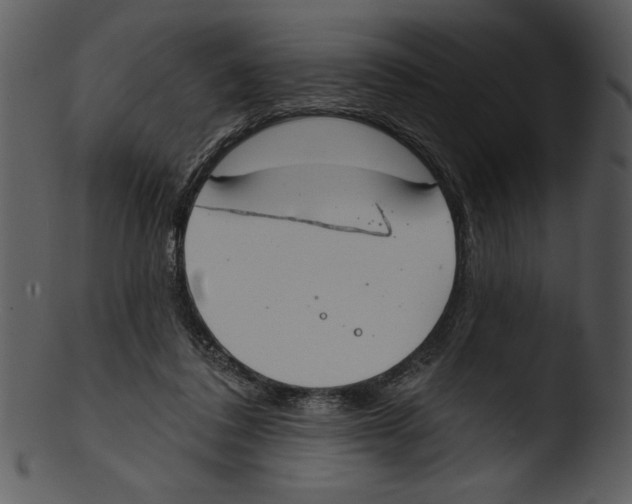 X0000103230308200809251310