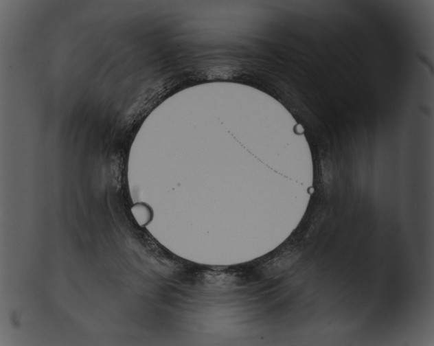X0000103230311200809251310