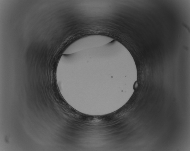 X0000103230312200809251310