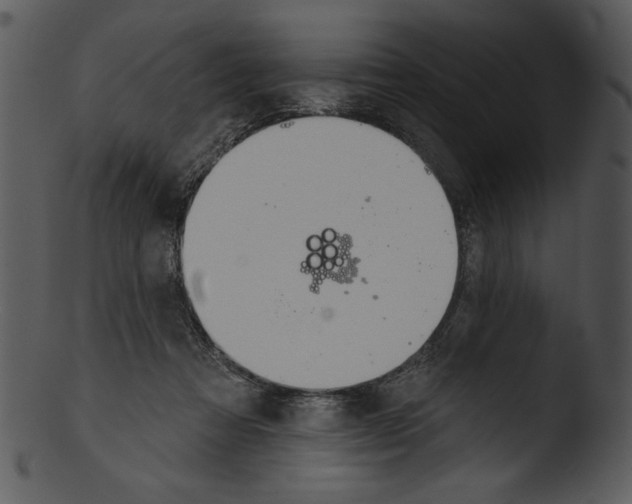 X0000103230313200809251310