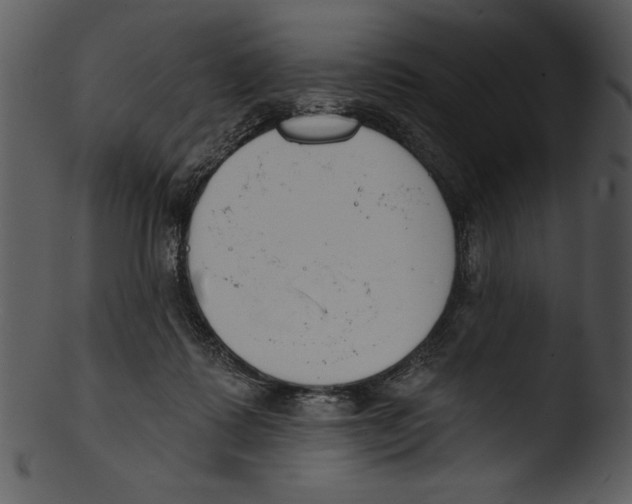 X0000103230315200809251310