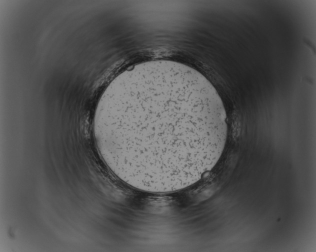 X0000103230316200809251310