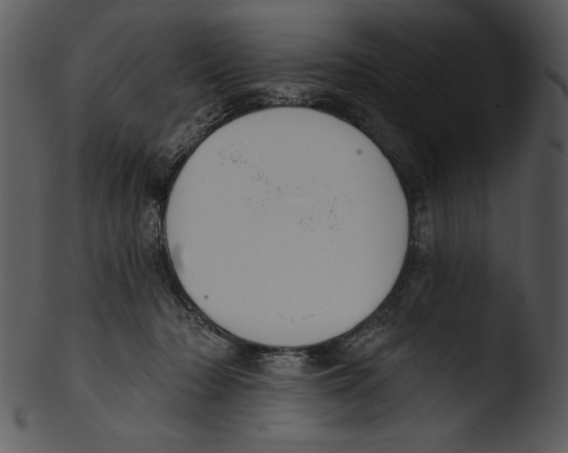 X0000103230318200809251310