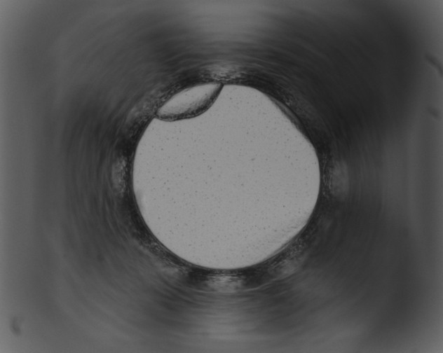 X0000103230319200809251310