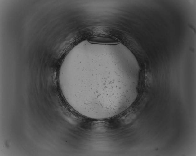 X0000103230320200809251310