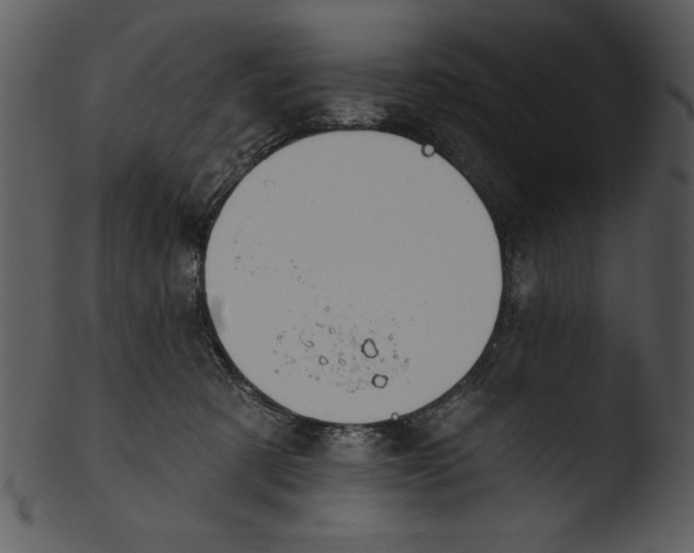 X0000103230321200809251310