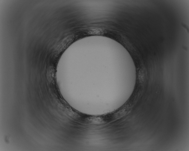 X0000103230322200809251310