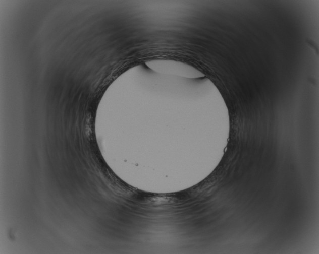 X0000103230323200809251310