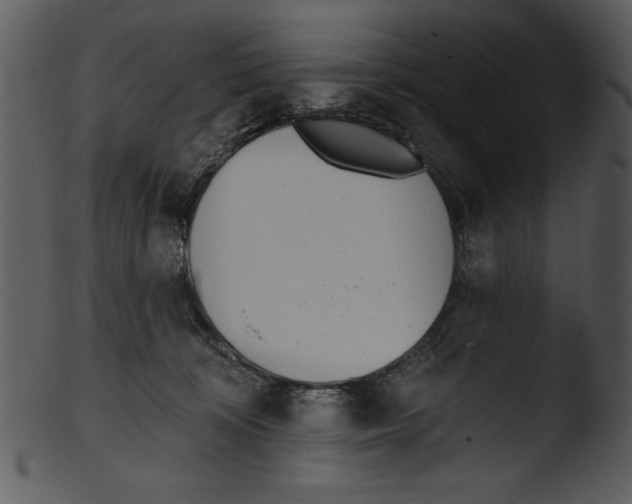 X0000103230324200809251310