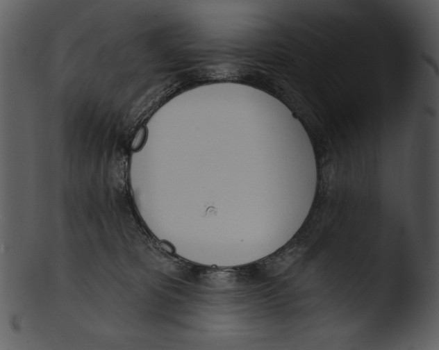 X0000103230325200809251310
