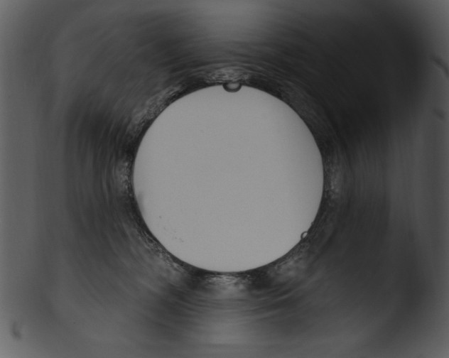 X0000103230326200809251310