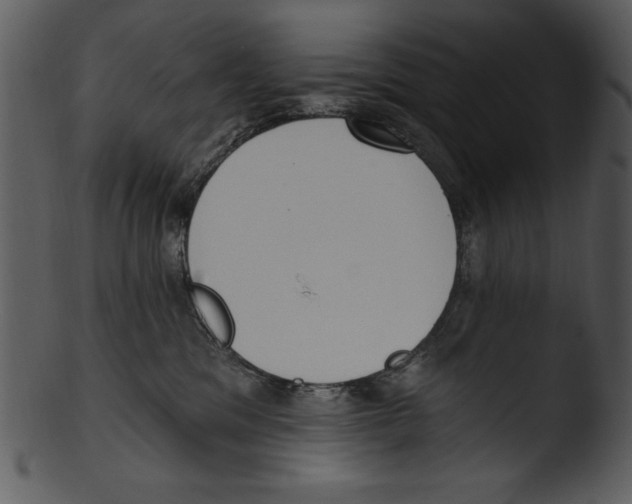 X0000103230329200809251310