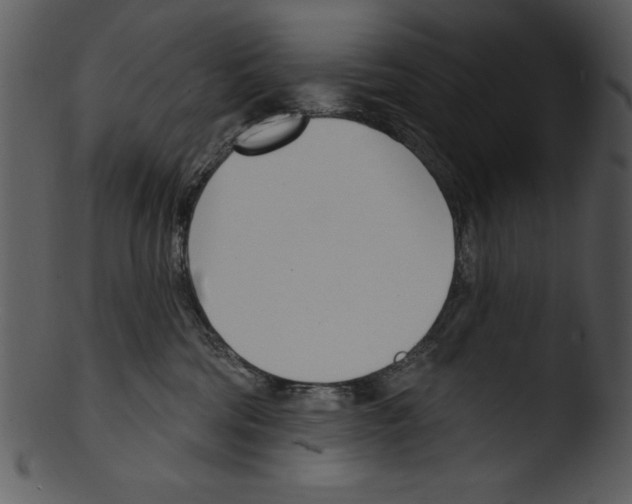 X0000103230330200809251310