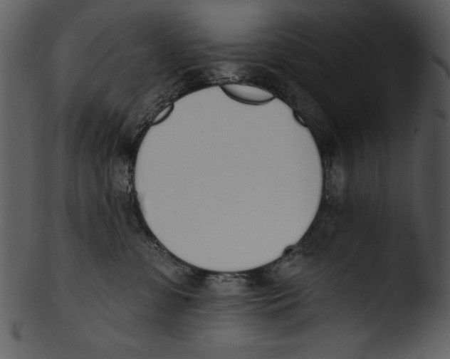 X0000103230331200809251310