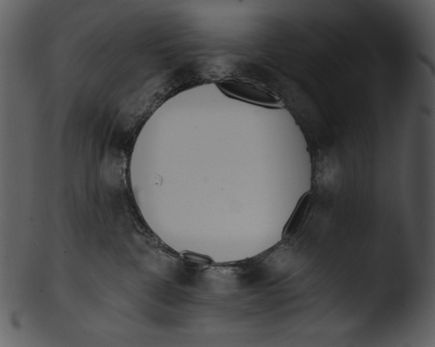 X0000103230332200809251310