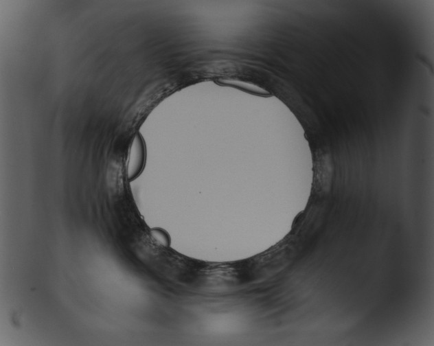 X0000103230333200809251310