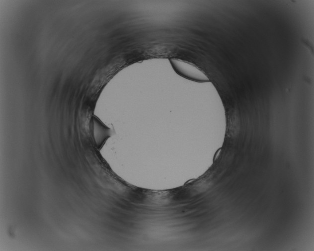 X0000103230334200809251310