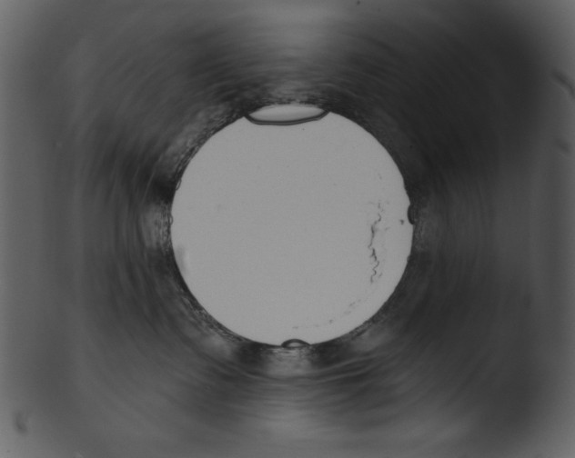 X0000103230335200809251310