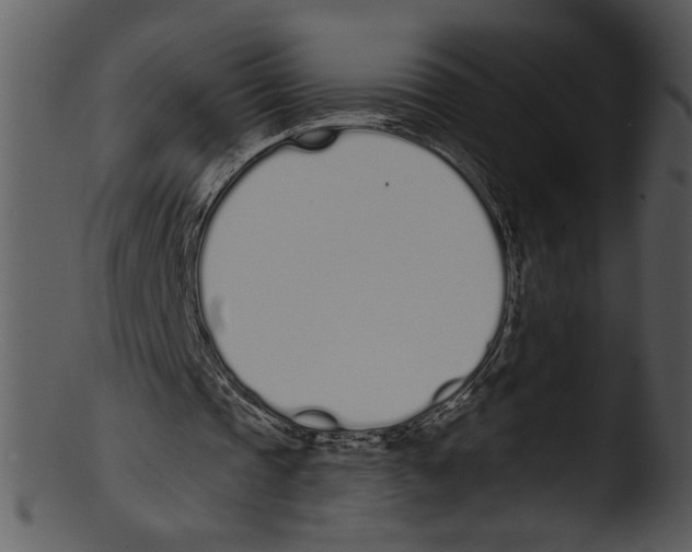 X0000103230337200809251309