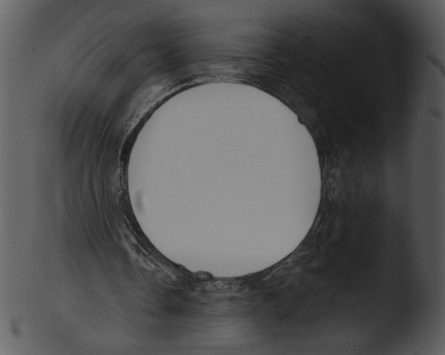 X0000103230338200809251309