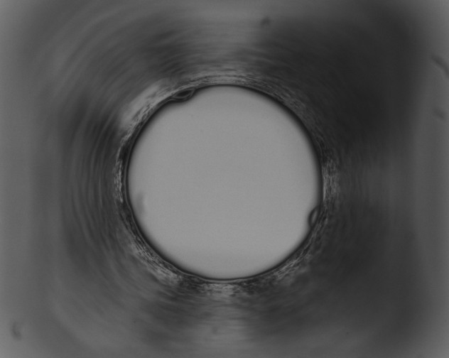 X0000103230339200809251309