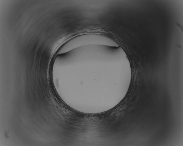 X0000103230340200809251309