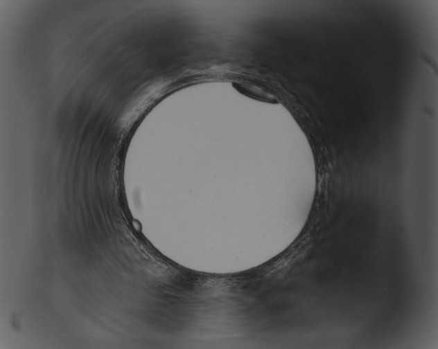 X0000103230341200809251309