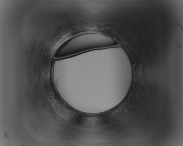 X0000103230344200809251309