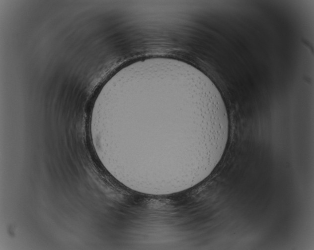 X0000103230346200809251309