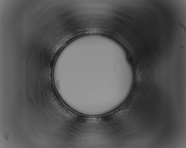 X0000103230347200809251309