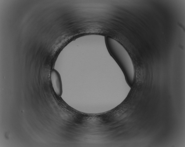 X0000103230348200809251309