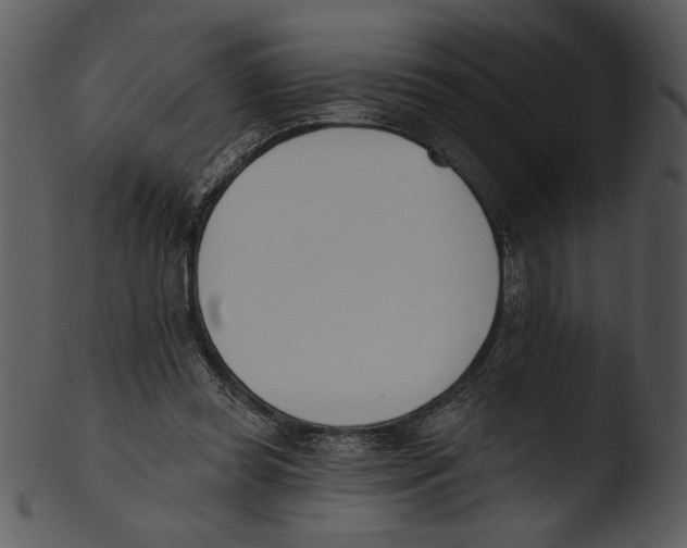 X0000103230349200809251309