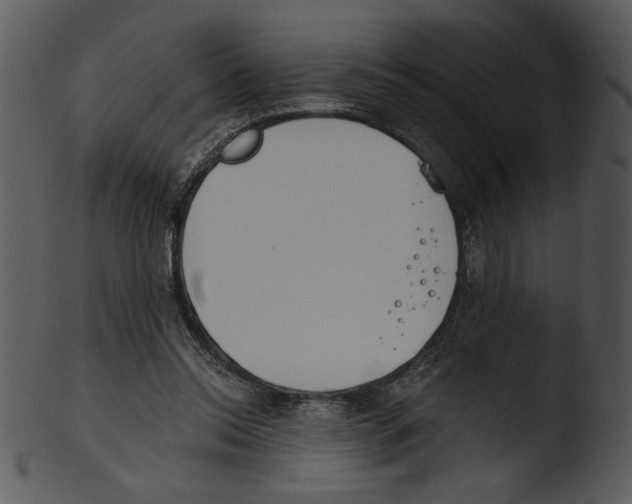 X0000103230350200809251309