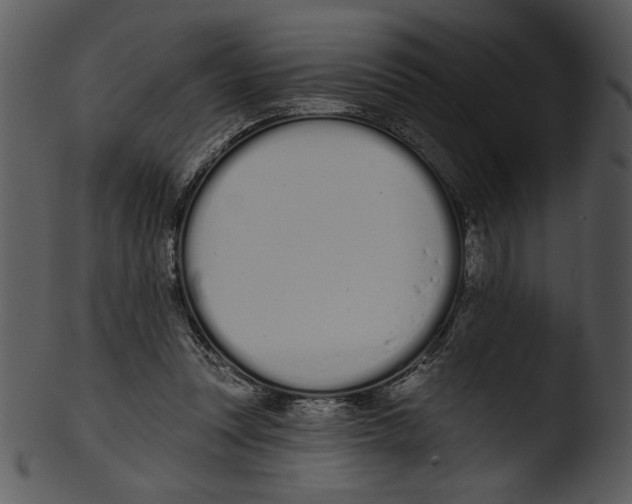 X0000103230351200809251309