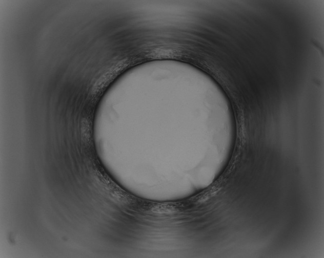 X0000103230353200809251309