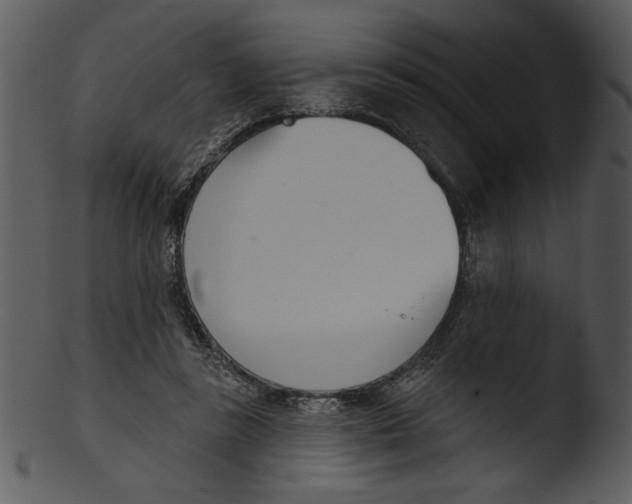 X0000103230355200809251309