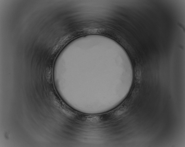 X0000103230357200809251309