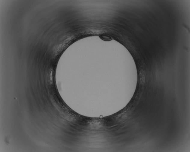 X0000103230358200809251309