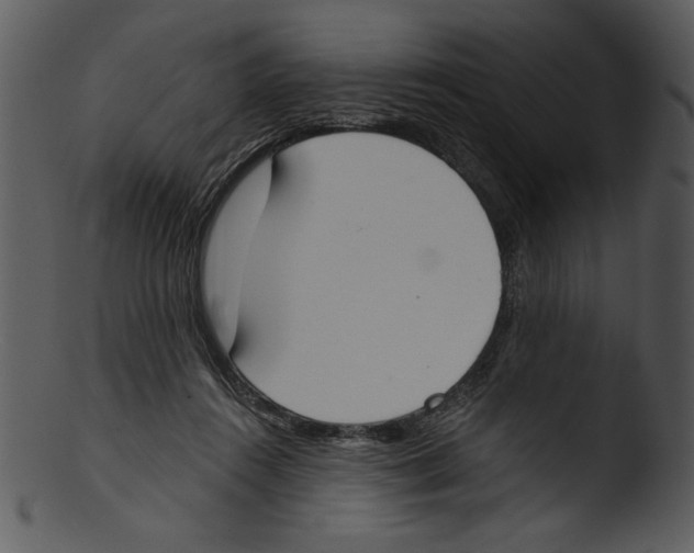 X0000103230360200809251309